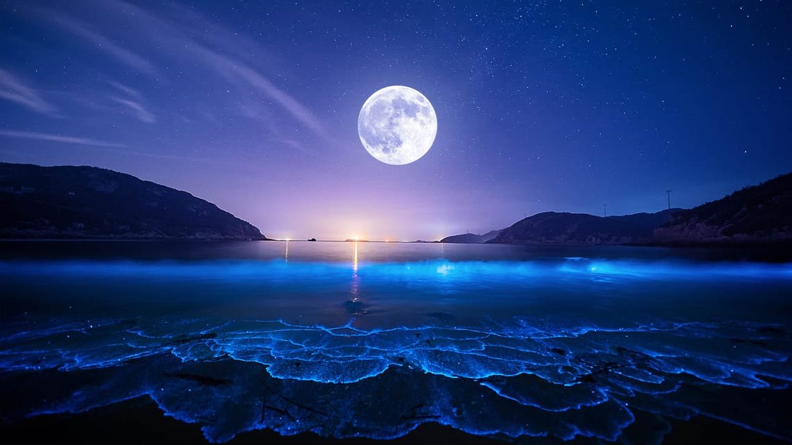 Moon 10 Com